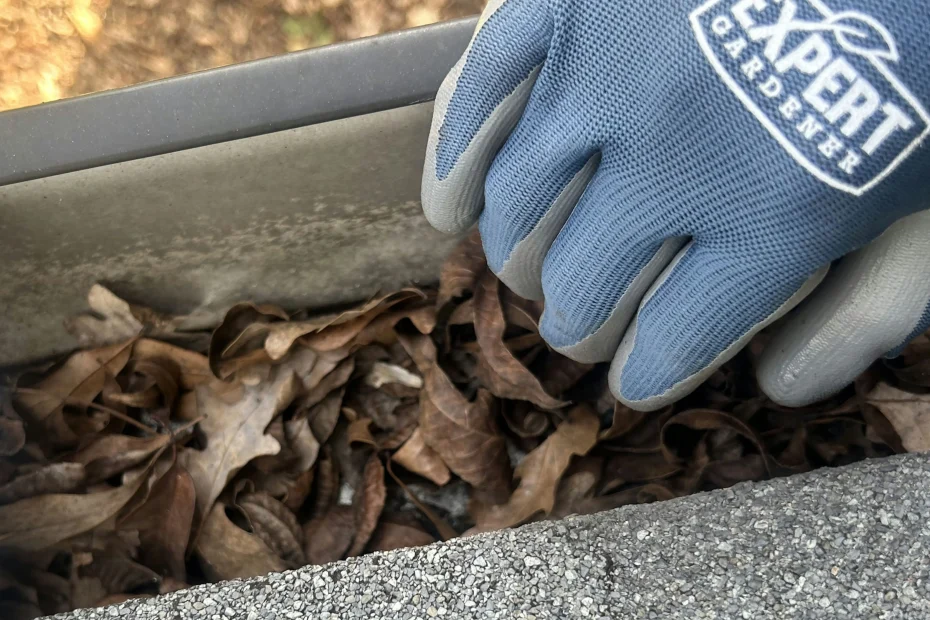 Gutter Cleaning West Wood