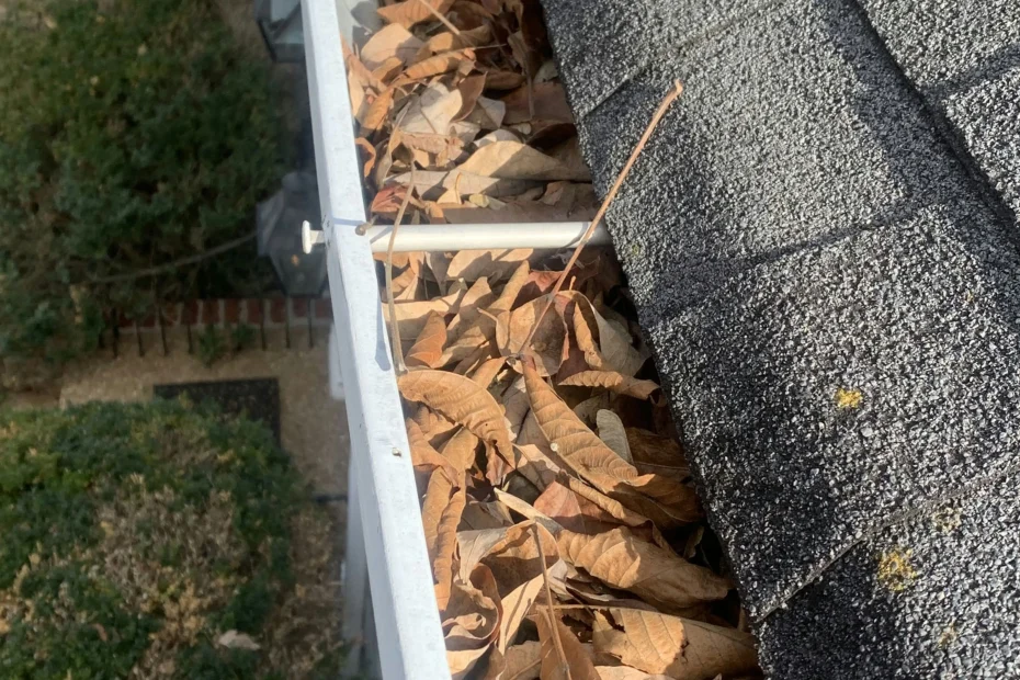 Gutter Cleaning West Wood